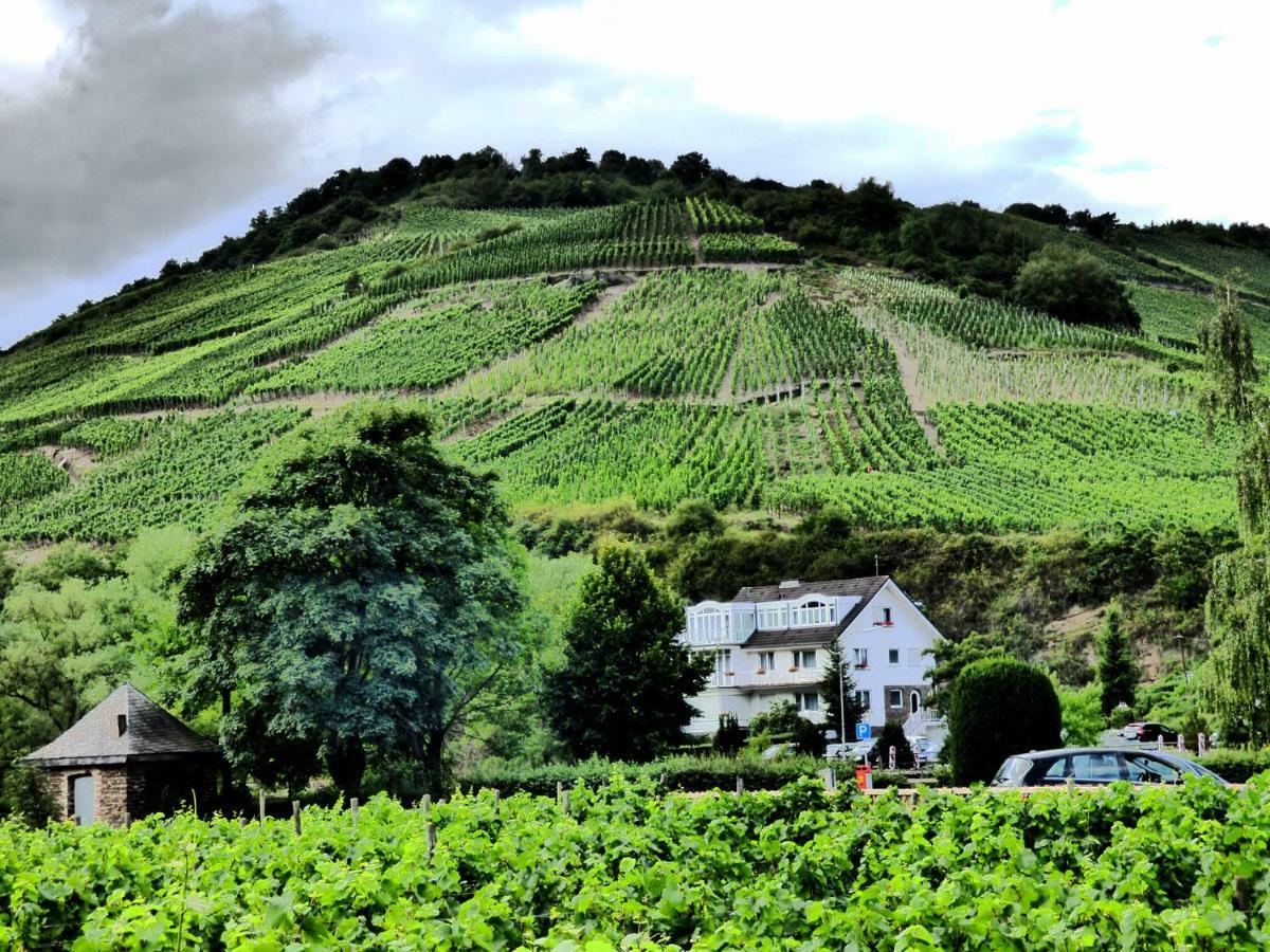 Relaxen Im Alten Winzerhaus Fewo Eg เรค ภายนอก รูปภาพ